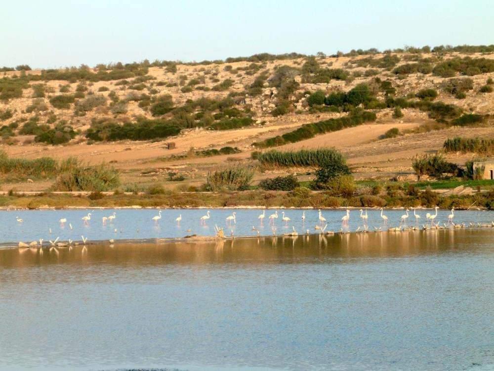 Dar Doukkala Oualidia Διαμέρισμα Εξωτερικό φωτογραφία